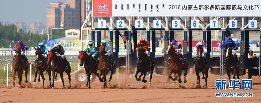 Horse racing in Ordos