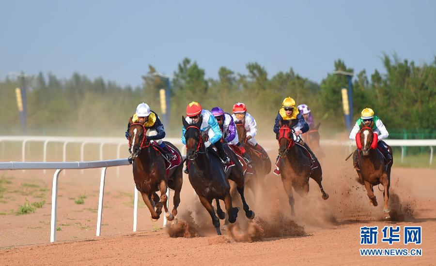 Horse racing clops in Ordos