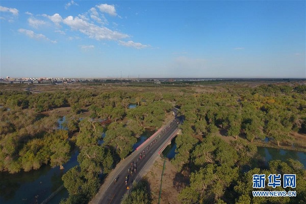 Cyclists compete in euphratica forest race