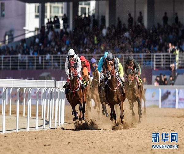 Hohhot hosts equestrianism and horseracing festival