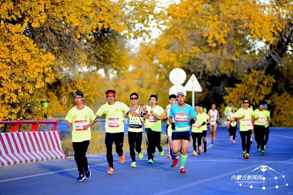 Runners cross rare desert poplar forest