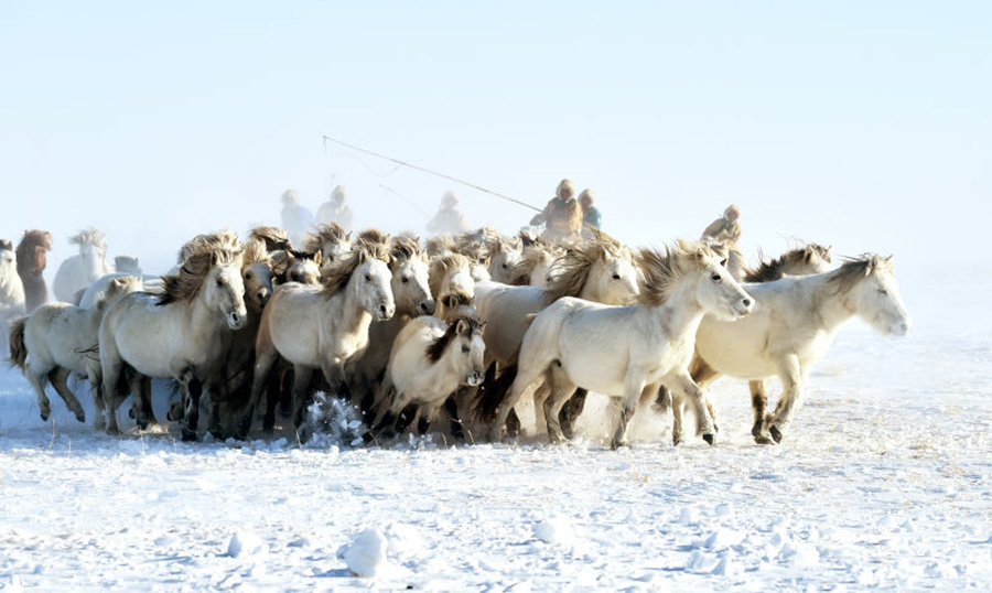 Nadam Fair underway in snow-covered Xinlinhot, Inner Mongolia