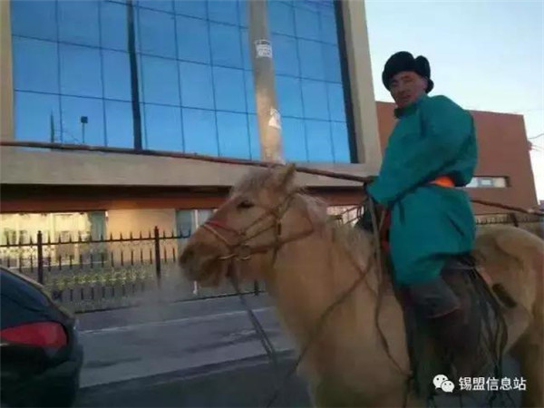 Mongol-style school opening day stuns netizens