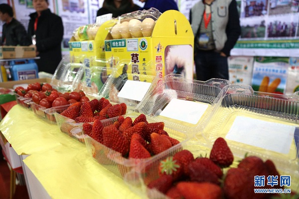 Inner Mongolia holds intl argriculture expo