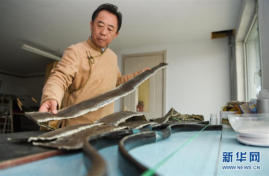 Mongolian horn-made bows take the spotlight