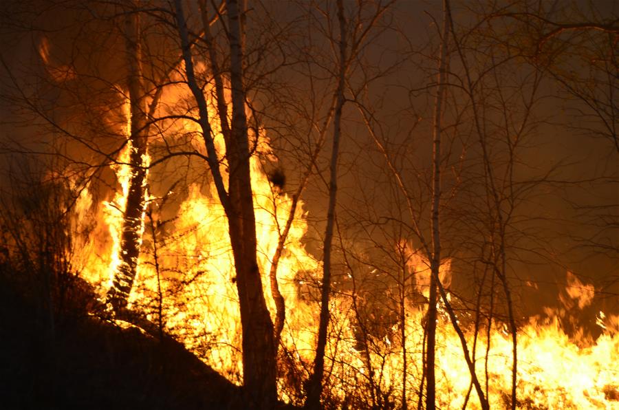 Inner Mongolia fights new forest fires　