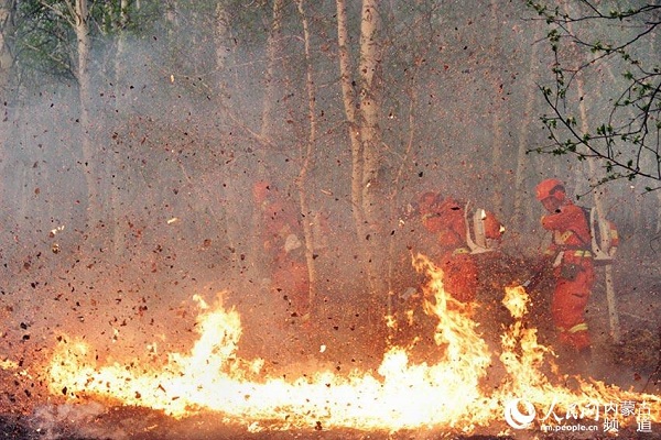 Over 4,000 firefighters battle forest fires