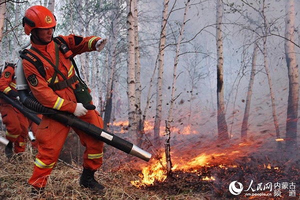 Over 4,000 firefighters battle forest fires