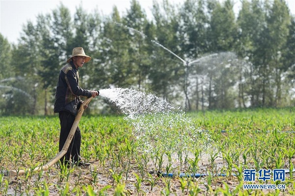 Eastern farmland suffers drought