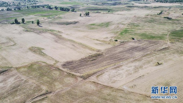 Eastern farmland suffers drought