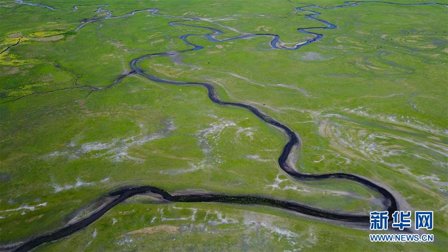 Breathe in the midsummer air on Hulunbuir Prairie