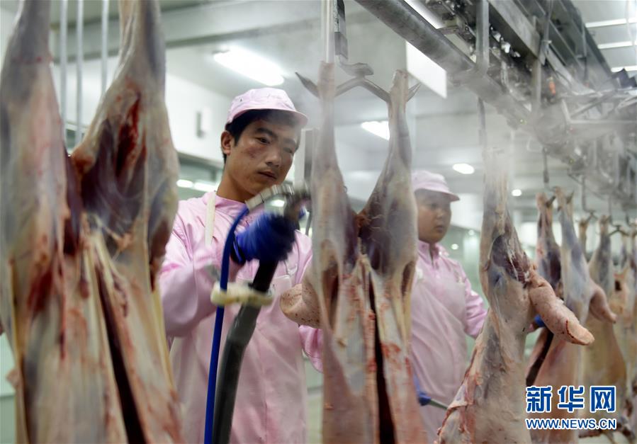 Grassland beef and mutton delivered across China