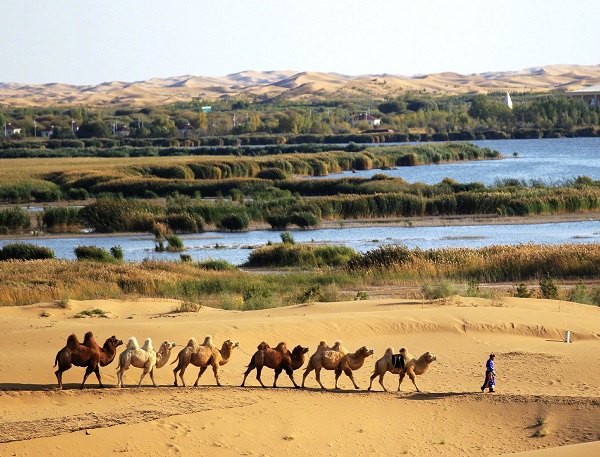 Kubuqi desert forum focuses on green economy