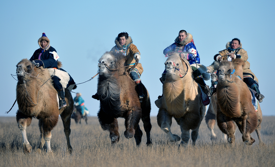 Winter Nadam of the East Ujimqin Banner