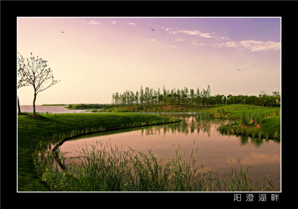 Yangcheng Lake