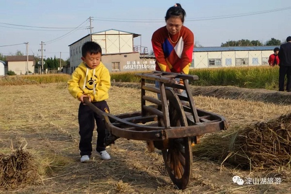 Enjoy harvest time at Dianshan Lake Rice Festival