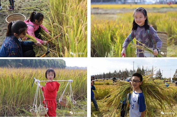 Enjoy harvest time at Dianshan Lake Rice Festival