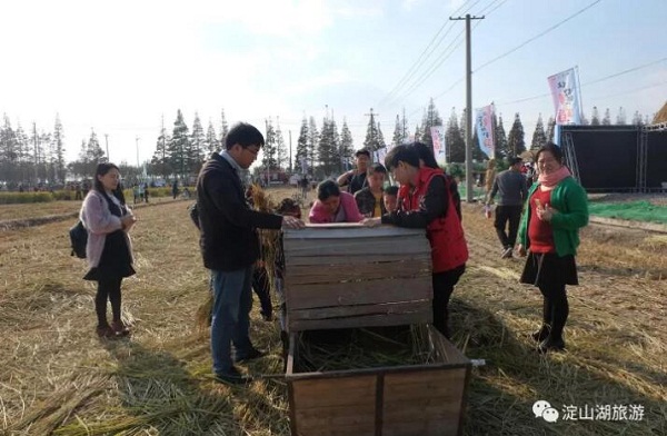 Enjoy harvest time at Dianshan Lake Rice Festival