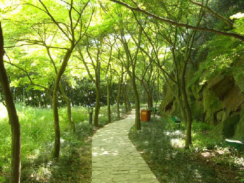 Nantong gardening exhibition park