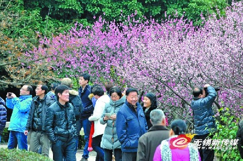 Wuxi tourism booms in Spring Festival