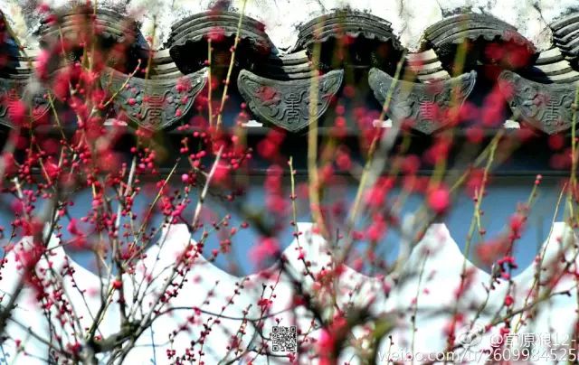 Pictures capture Wuxi's resplendent beauty