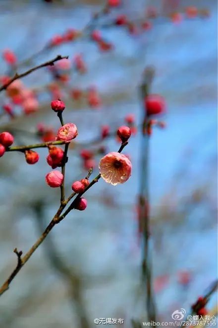 Pictures capture Wuxi's resplendent beauty