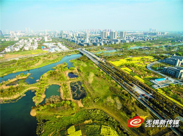 Vibrant Changguangxi Wetland Park