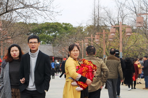 Spring opens Wuxi flowers and scenic spot gates in 2017 cherry blooms festival