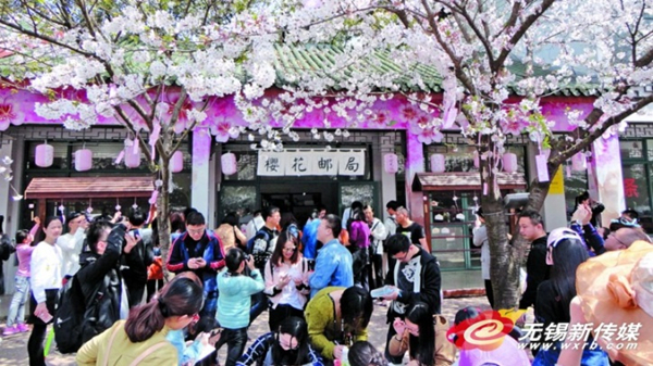 Yuantouzhu offers cherry blossom postcards
