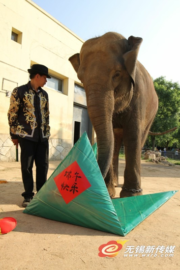 Wuxi Zoo prepares Dragon Boat feast for its animals