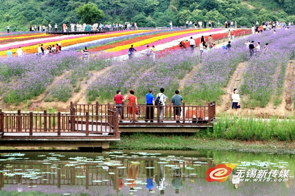 Floral rainbow lights up the horizon at Xuelang Mountain