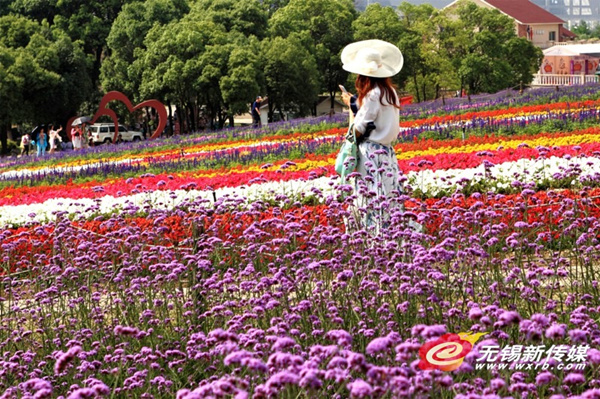 Floral rainbow lights up the horizon at Xuelang Mountain