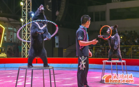 Summer circus takes center stage at Wuxi Zoo