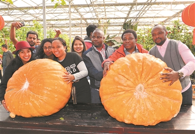 Foreign students praise rural development in Jiangyin