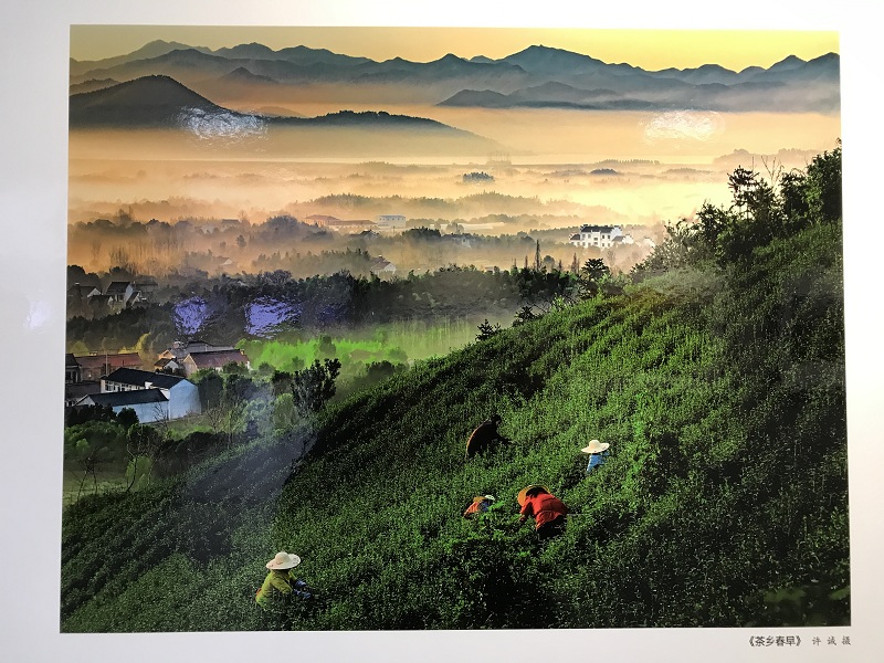 Photo exhibition shows beautiful Wuxi