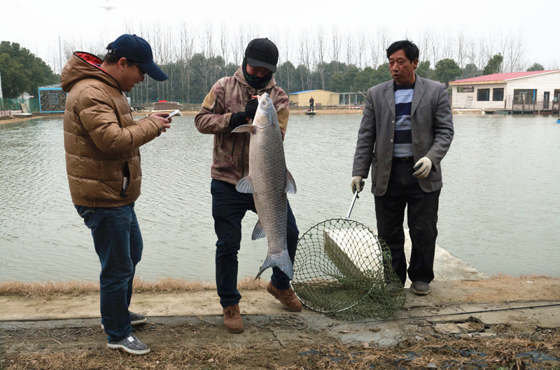 Shanlian village: making farmers rich through ecological construction