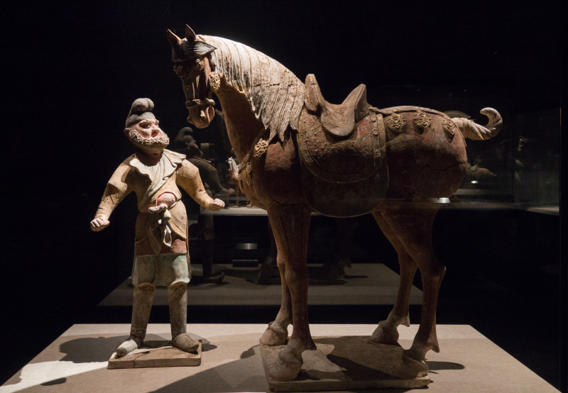 Horse Culture Museum displays living horses in Jiangyin