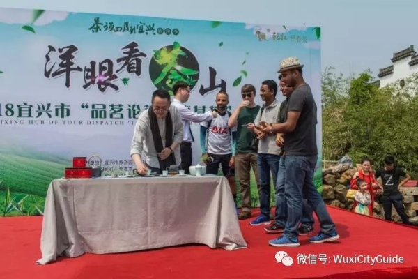 Expats enjoy picking tea leaves in Yixing