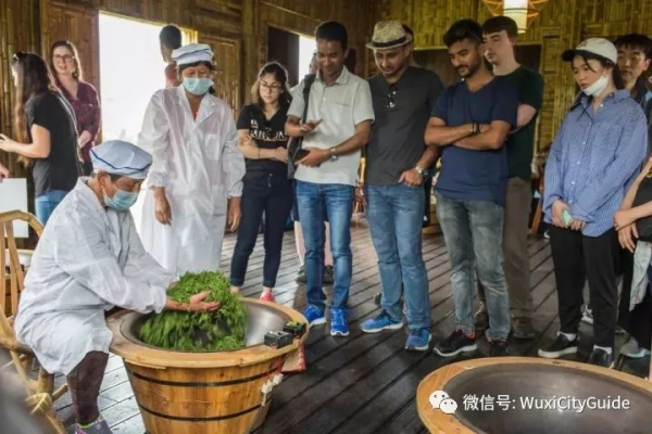 Expats enjoy picking tea leaves in Yixing