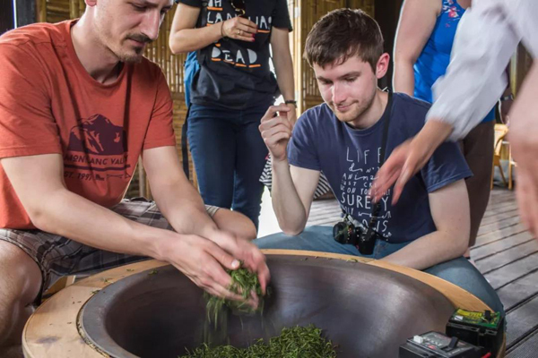 Expats enjoy picking tea leaves in Yixing