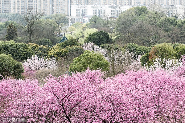 Get a taste of traditional ways of celebrating Spring Festival in Wuxi