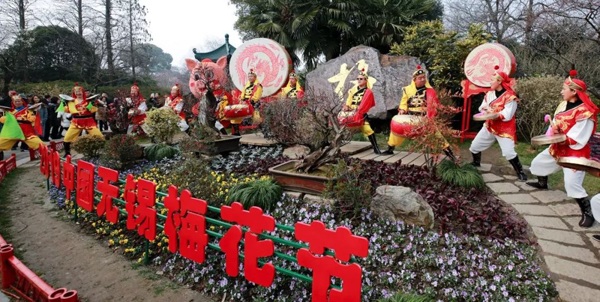 Admire plum blossoms in Wuxi