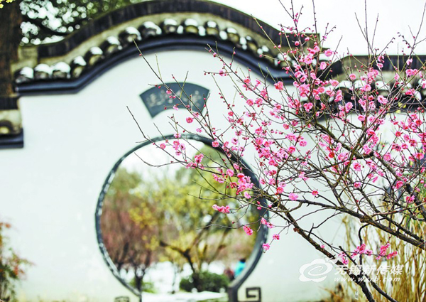 Time to enjoy flower blossoms in Wuxi