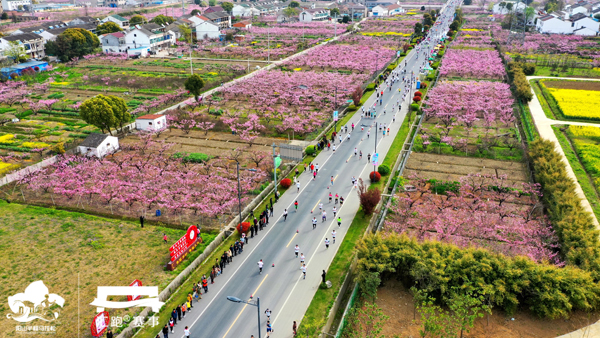 Yangshan half marathon takes place in Wuxi