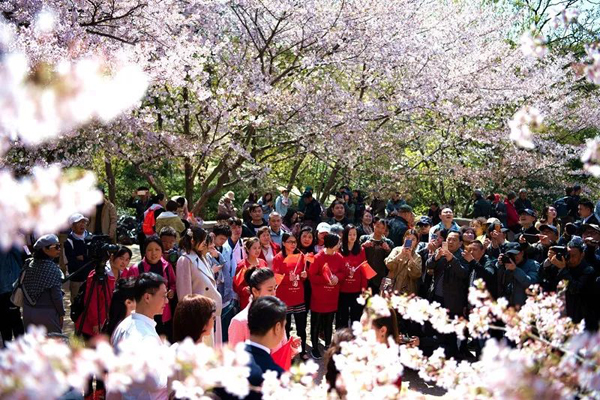 City marks China's 70th anniversary with performance