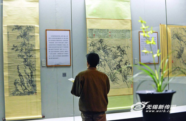 Wuxi Museum exhibits rare orchids