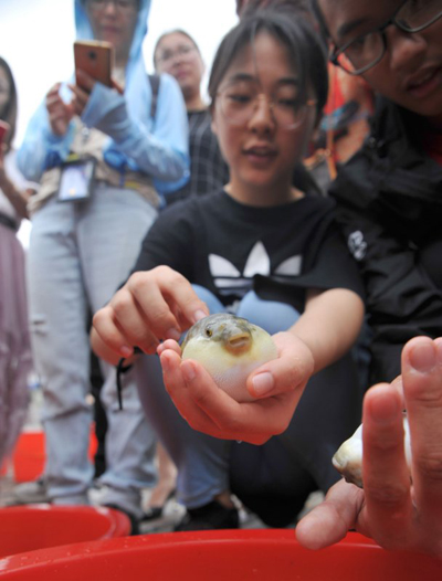 Fingerlings released to Yangtze River