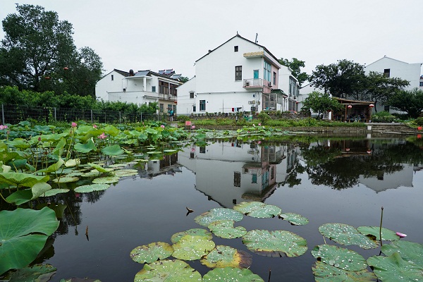 Yangshan: home of honey peaches