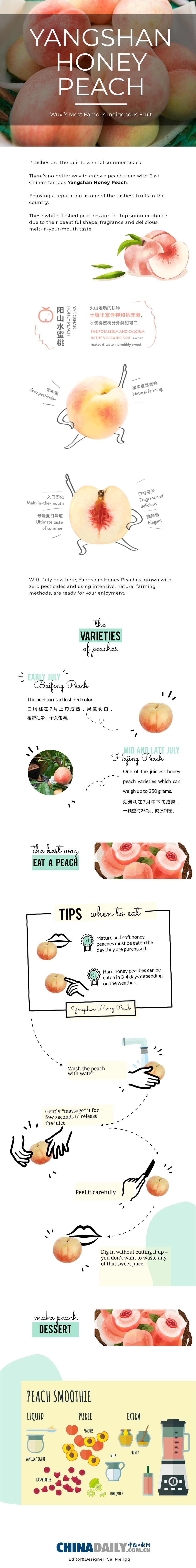 Wuxi's most famous indigenous fruit: Yangshan Honey Peach