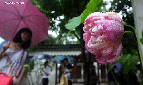 20th Lotus Festival kicks off at E China's Zhuozheng Yuan Garden